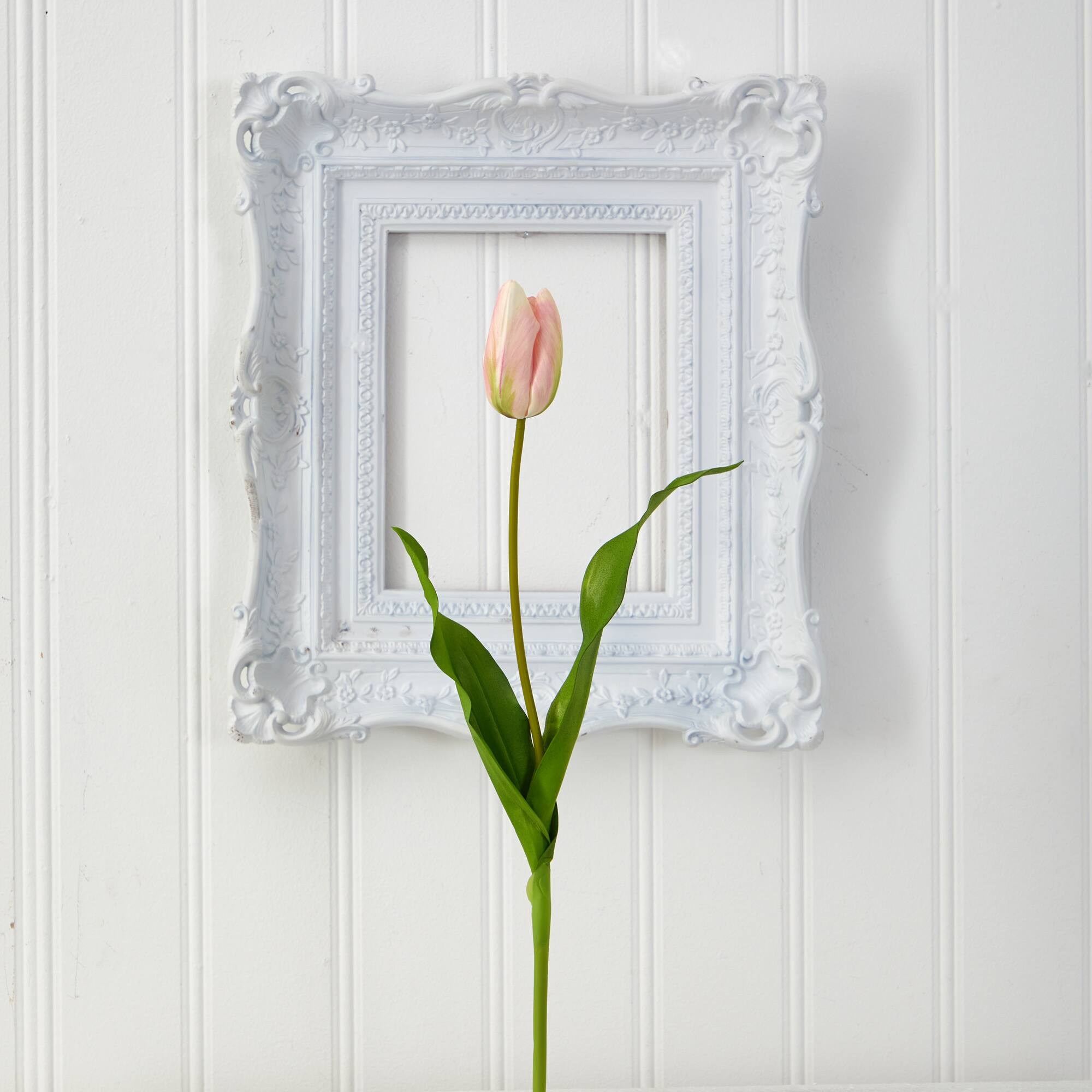 Pink & Cream Dutch Tulip Stem, 12ct.